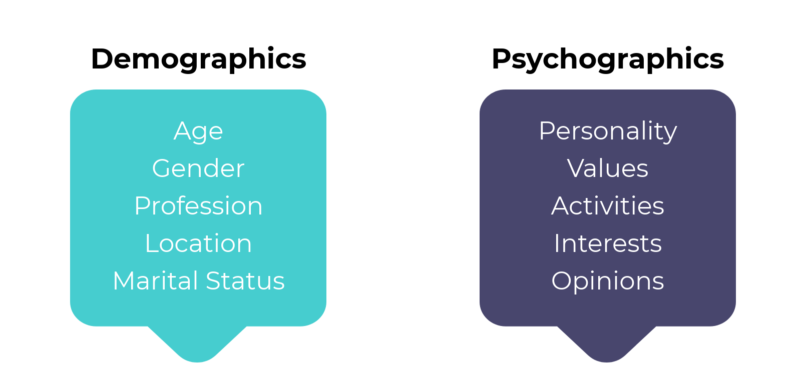 Demographics vs Psychographics (2)