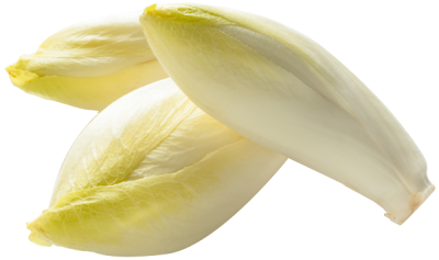 Endives | Louis Bonduelle Foundation