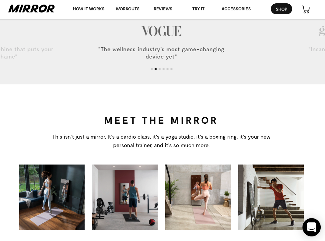 psychographic segmentation mirror