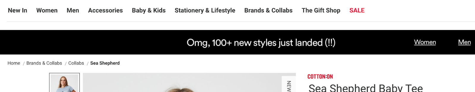 product findability ecommerce patagonia